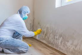 Best Comprehensive Air Testing for Mold Contaminants  in Matheny, CA