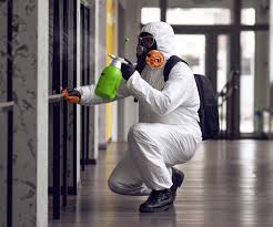 Best Asbestos and Lead Testing During Mold Inspection  in Matheny, CA